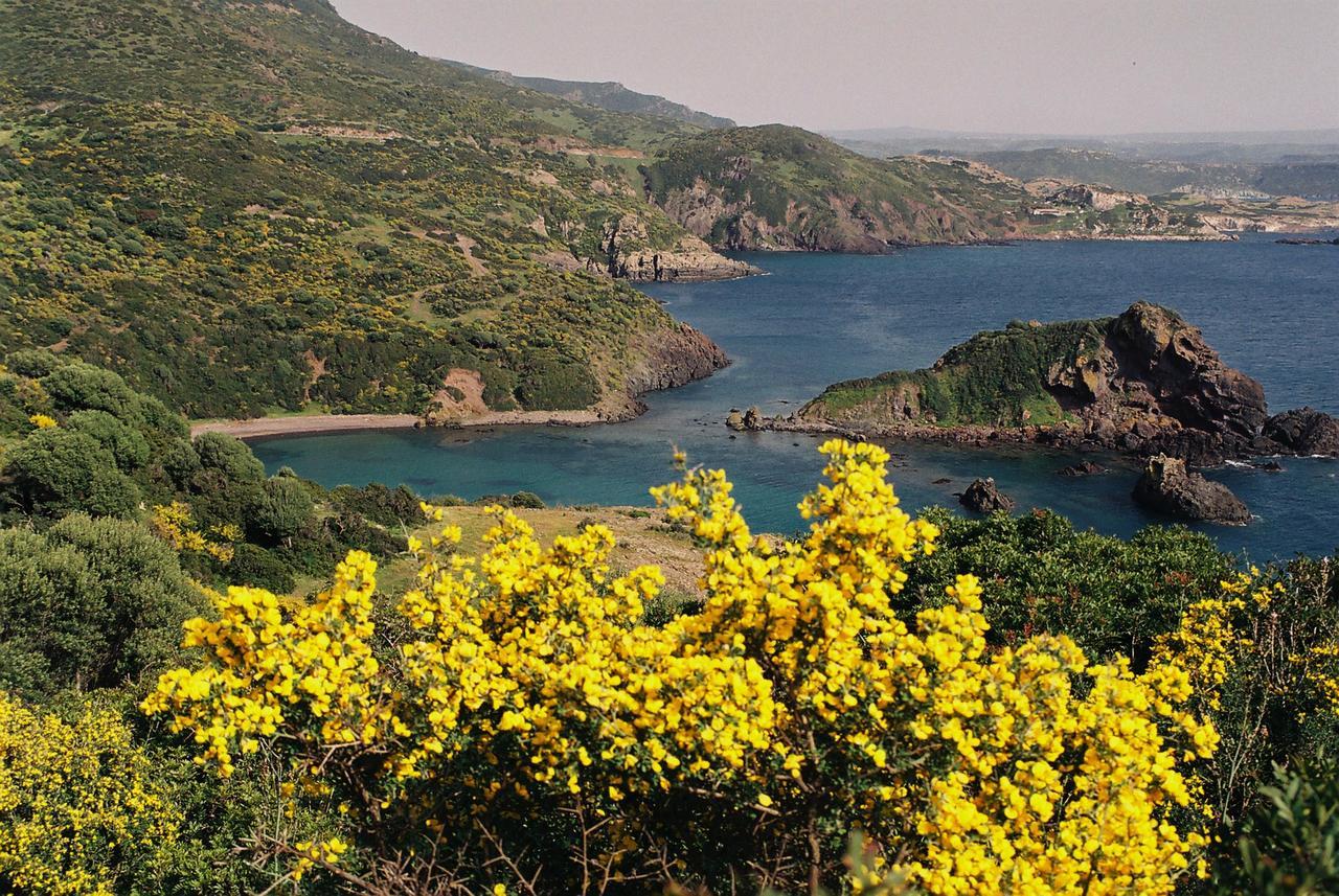Casa Vacanze Sandalia Bosa Exteriér fotografie